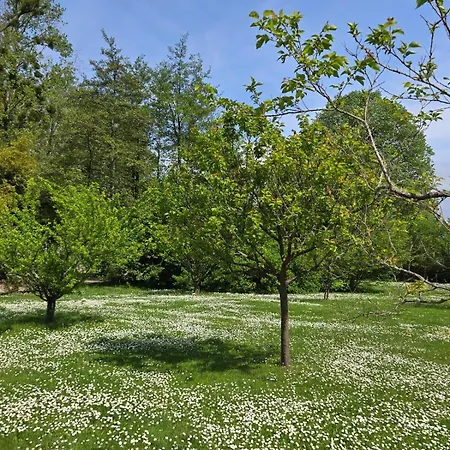بيت ضيافة Chateau De Courtebotte