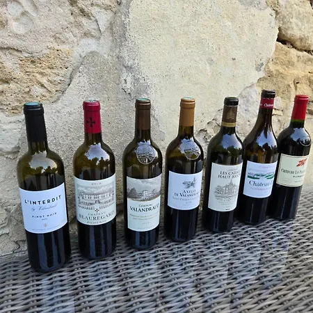 Chateau De Courtebotte 3*