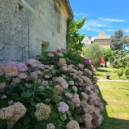 Chateau De Courtebotte Pensión Saint-Jean-de-Blaignac