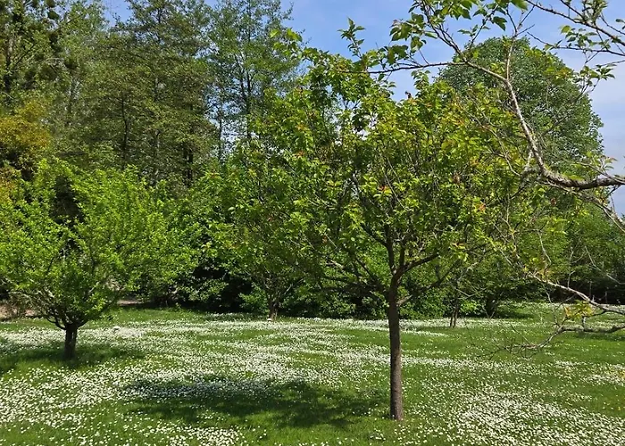 Gasthuis Chateau De Courtebotte